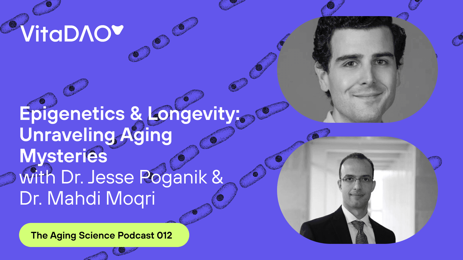Aging Insights: Dr. Jesse Poganik and Dr. Mahdi Moqri on Biomarkers and Longevity Research – The VitaDAO Aging Science Podcast