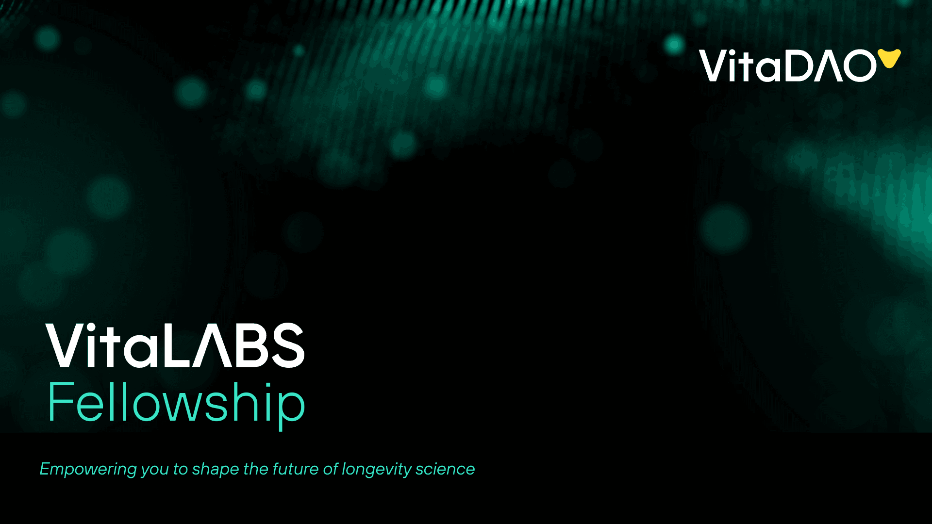 Announcing the VitaLabs Fellowship Program!