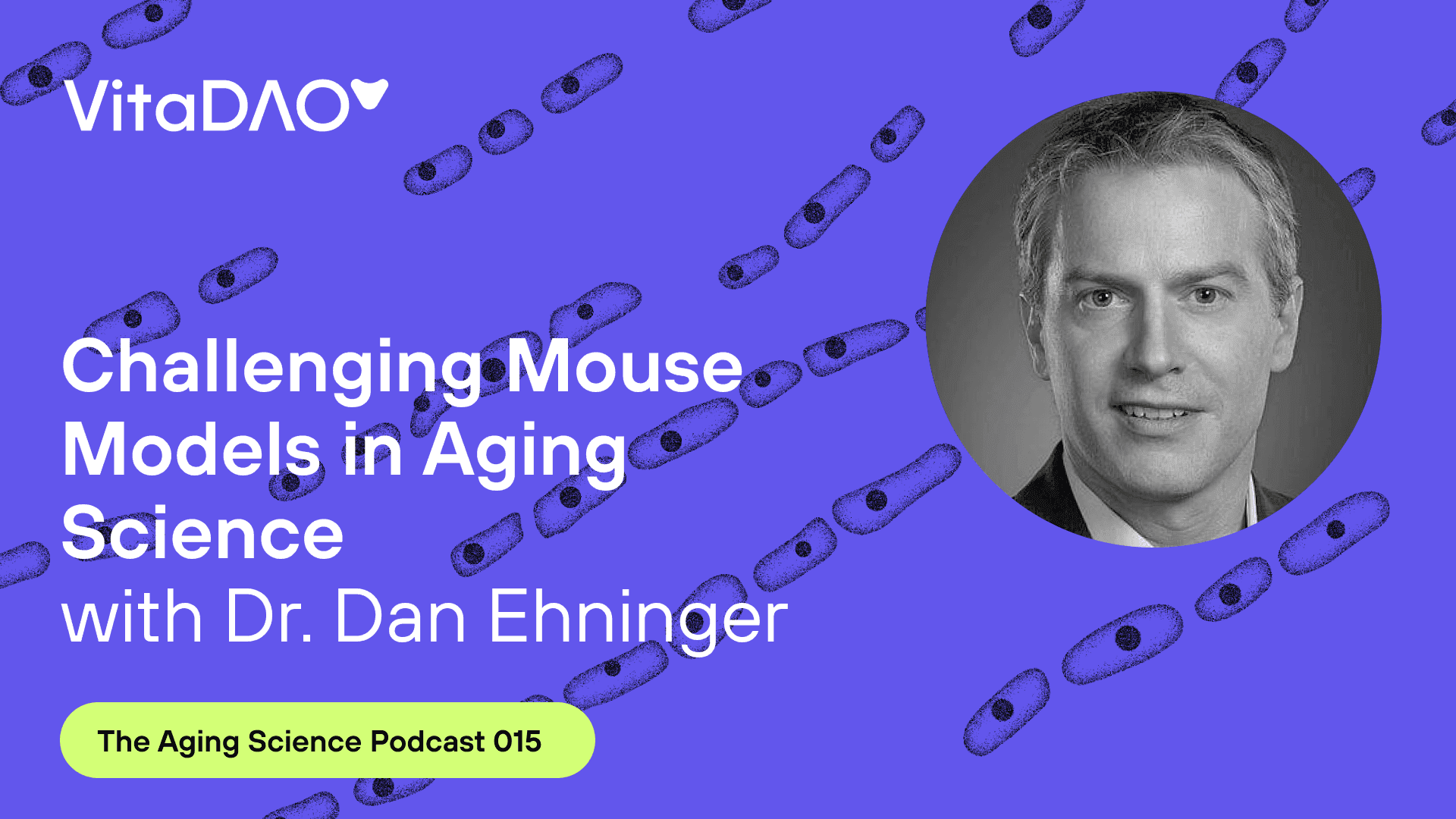 Challenging Mouse Models in Aging Science with Dr. Dan Ehninger - The VitaDAO Aging Science Podcast
