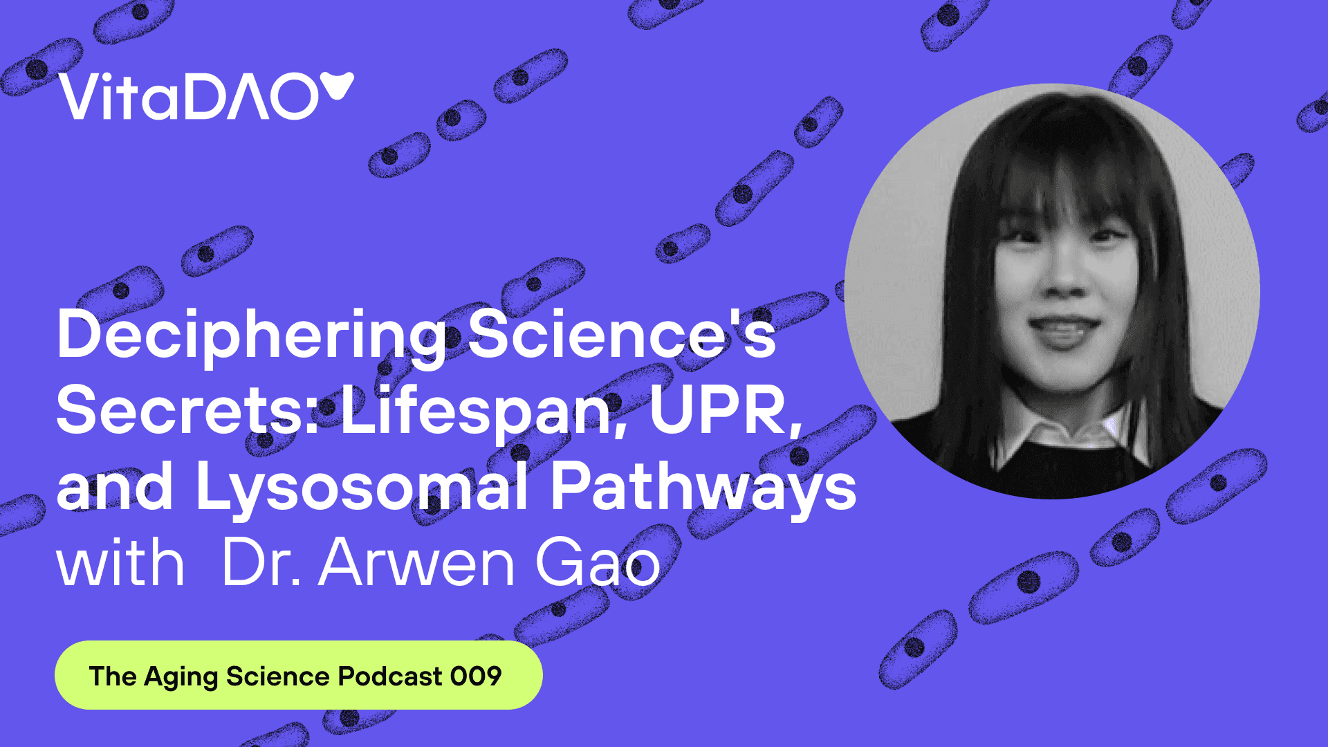 Deciphering Science's Secrets: Lifespan, UPR, and Lysosomal Pathwayswith Dr. Arwen Gao on The VitaDAO Aging Science Podcast