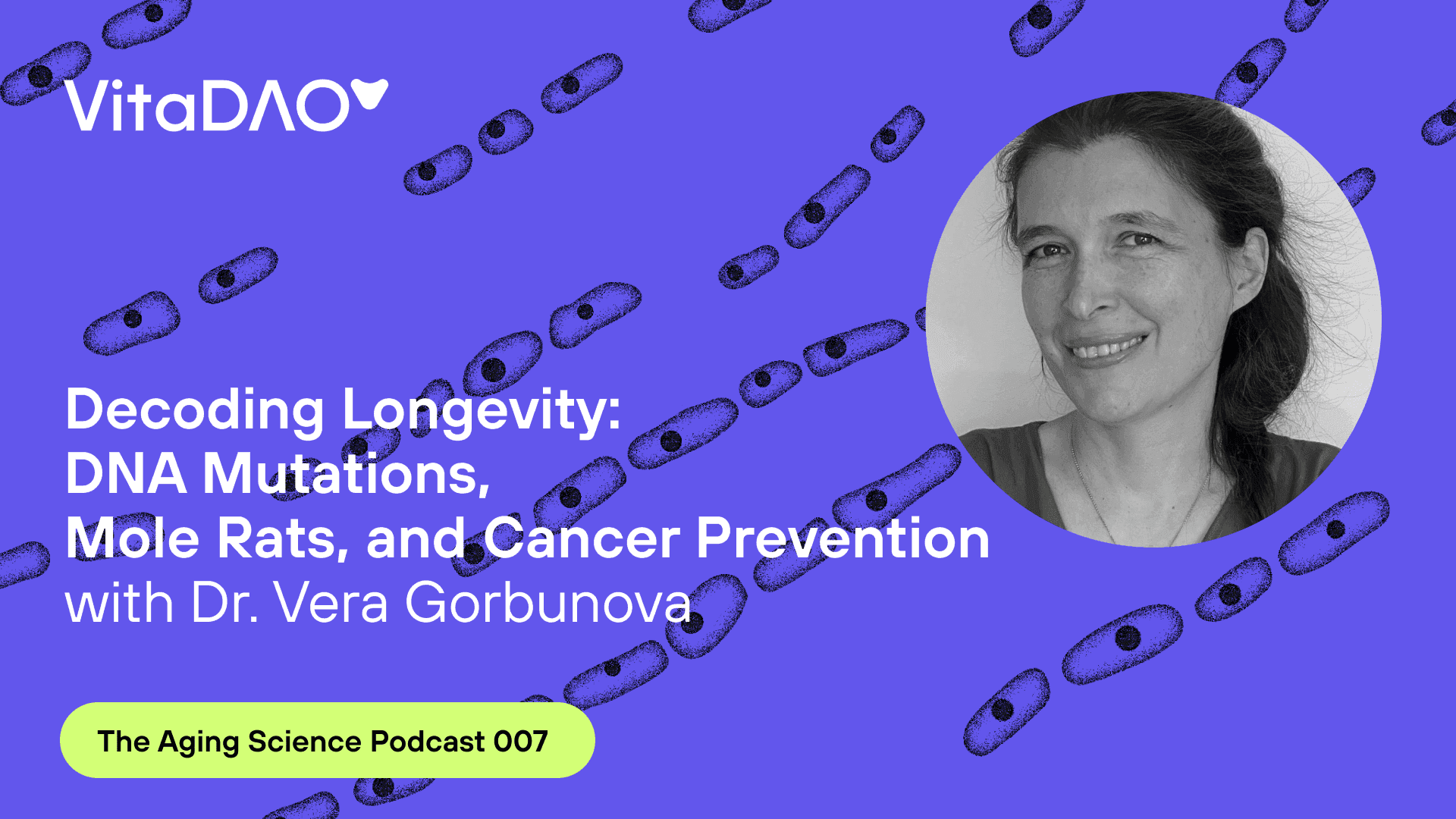 Decoding Longevity: DNA Mutations, Mole Rats, and Cancer Prevention with Prof. Vera Gorbunova on The Aging Science Podcast by VitaDAO