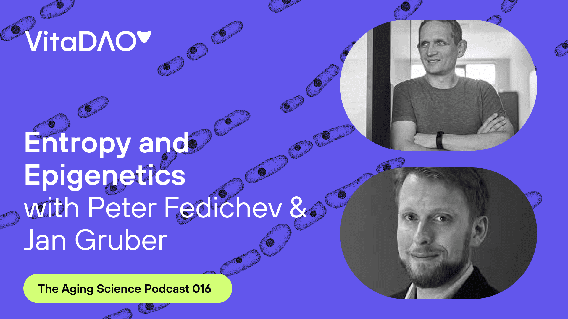 Entropy and Epigenetics in Aging Science with Peter Fedichev and Jan Gruber - The VitaDAO Aging Science Podcast
