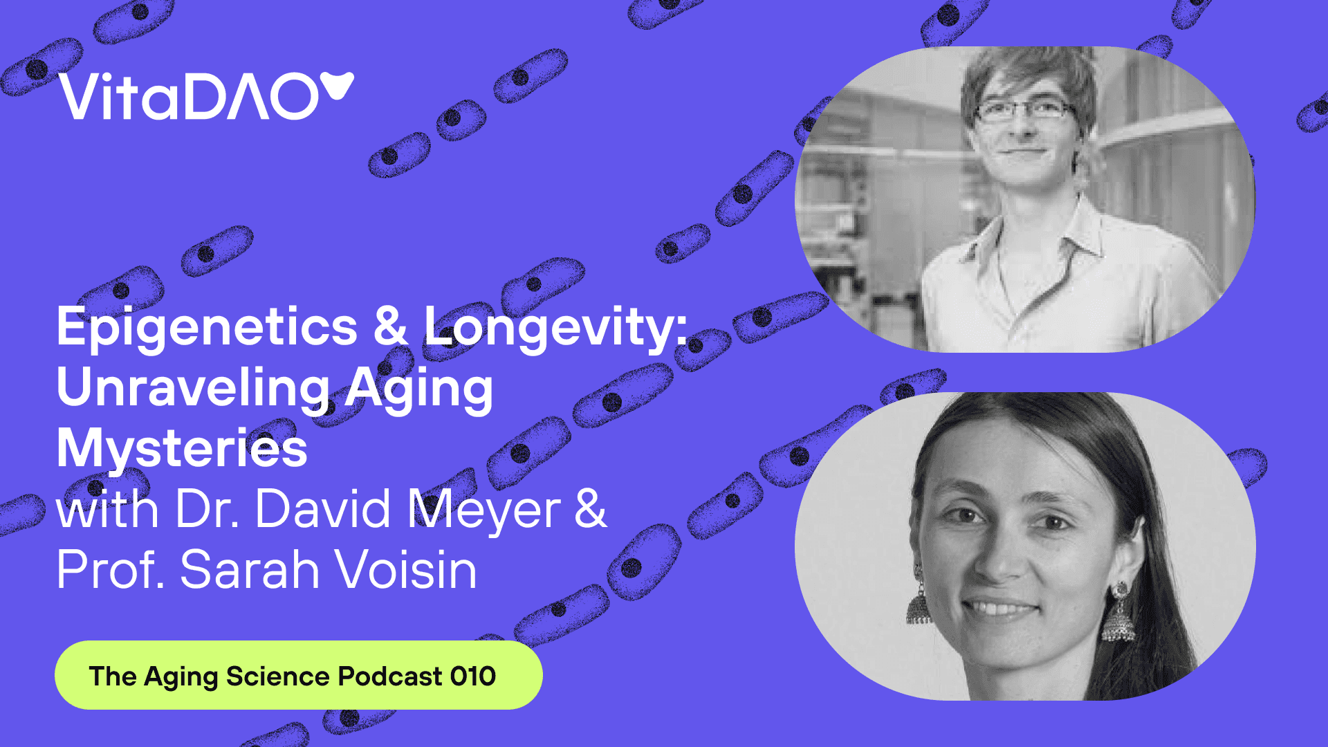 Epigenetics & Longevity: Unraveling Aging Mysteries with Dr. David Meyer and Prof. Sarah Voisin at ARDD – The VitaDAO Aging Science Podcast