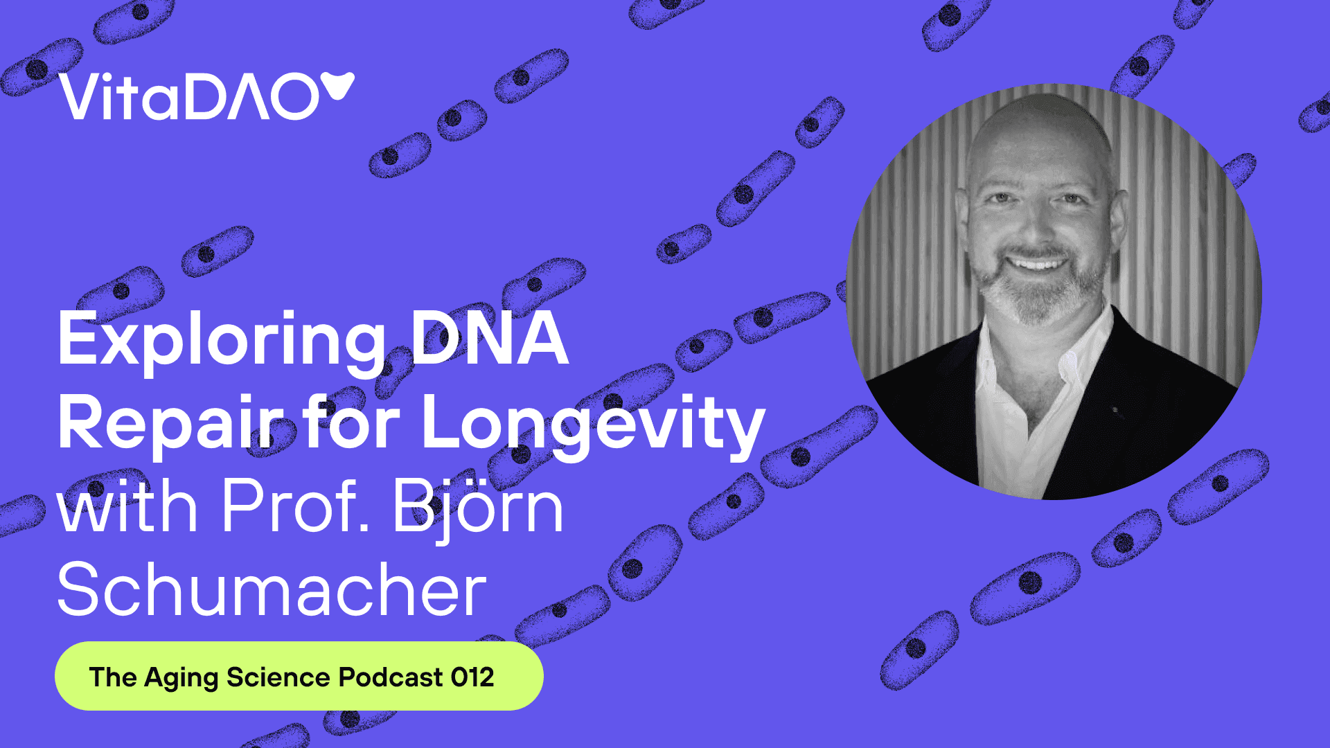 Exploring DNA Repair for Longevity with Prof. Björn Schumacher - The VitaDAO Aging Science Podcast