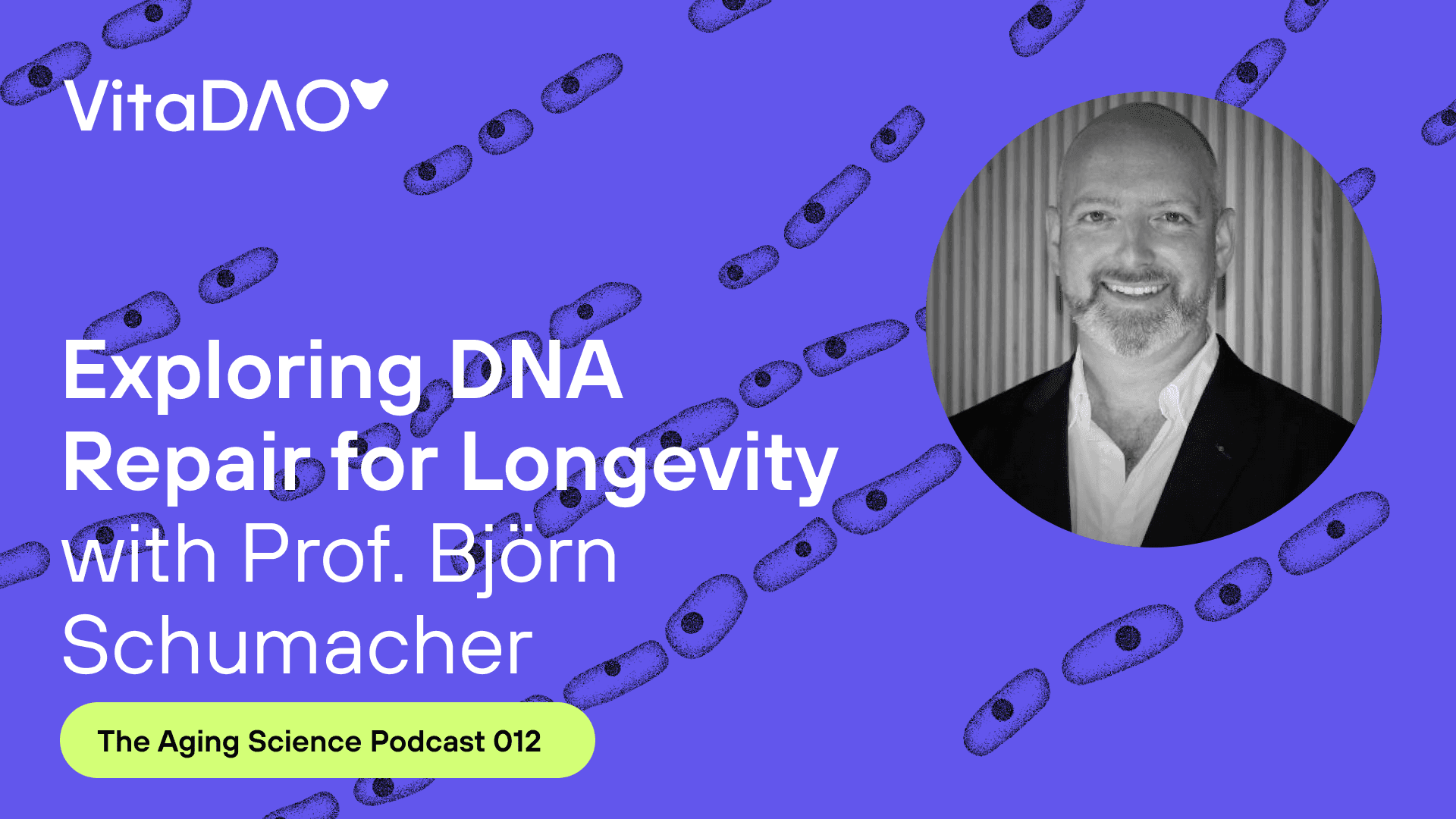 Exploring DNA Repair for Longevity with Prof. Björn Schumacher - The VitaDAO Aging Science Podcast