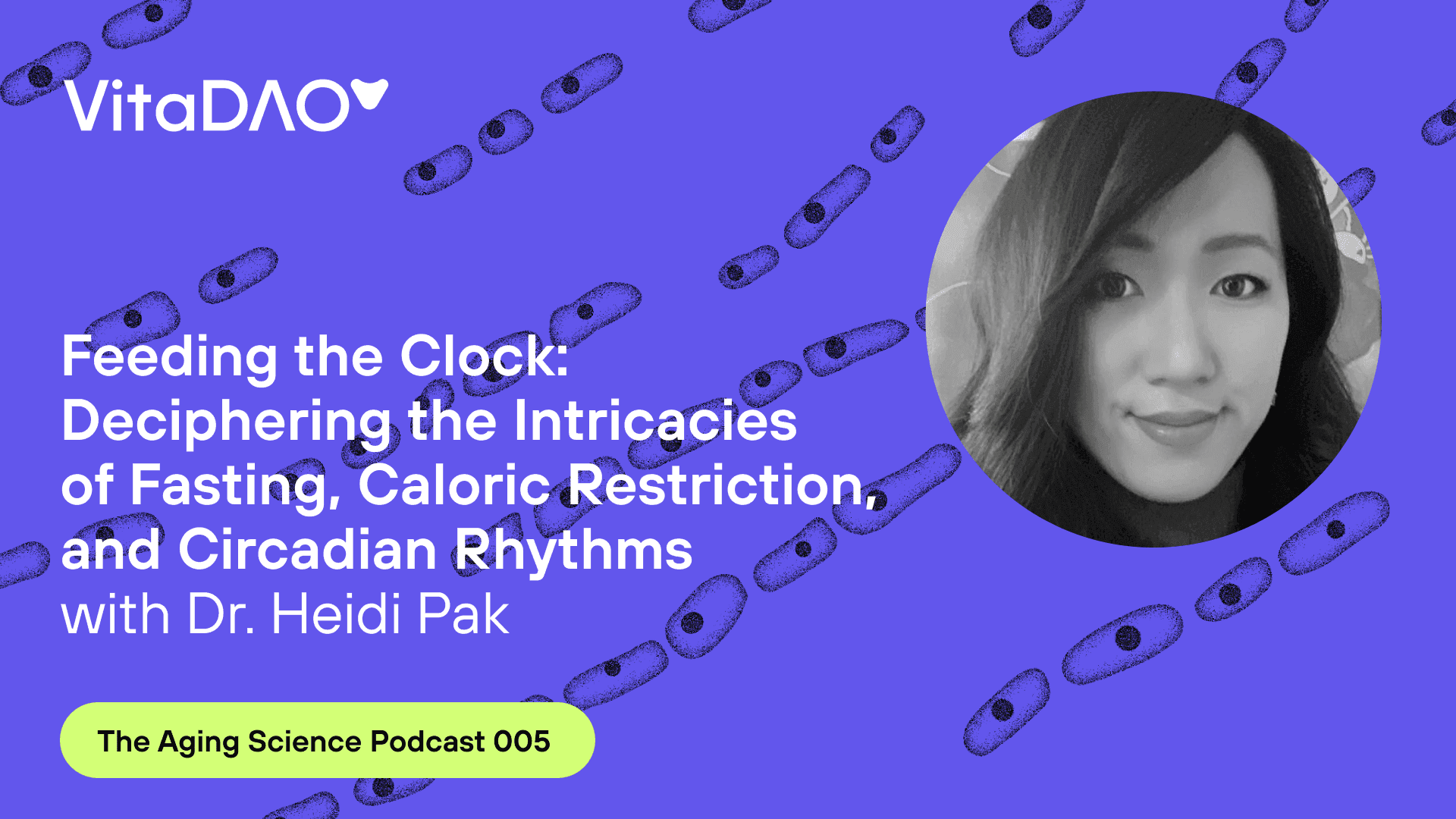 Feeding the Clock: Deciphering the Intricacies of Fasting, Caloric Restriction, and Circadian Rhythms with Dr. Heidi Pak on The Aging Science Podcast by VitaDAO