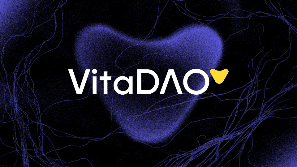 Set up MetaMask and receive your first VITA tokens