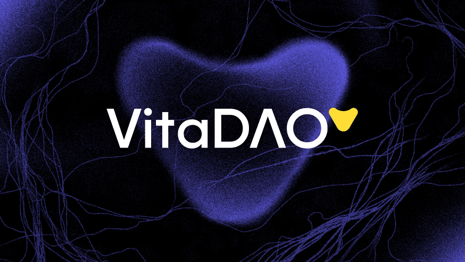 Set up MetaMask and receive your first VITA tokens