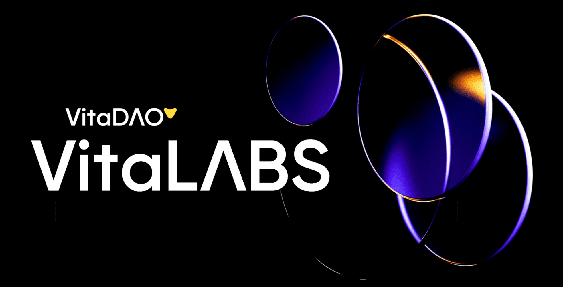 Introducing VitaLabs