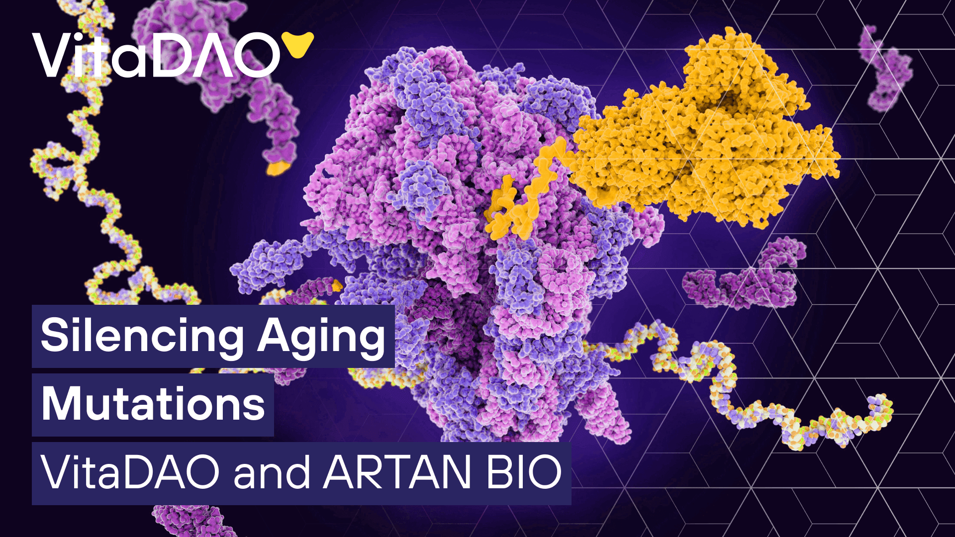 INTRODUCING VitaRNA by Artan Bio