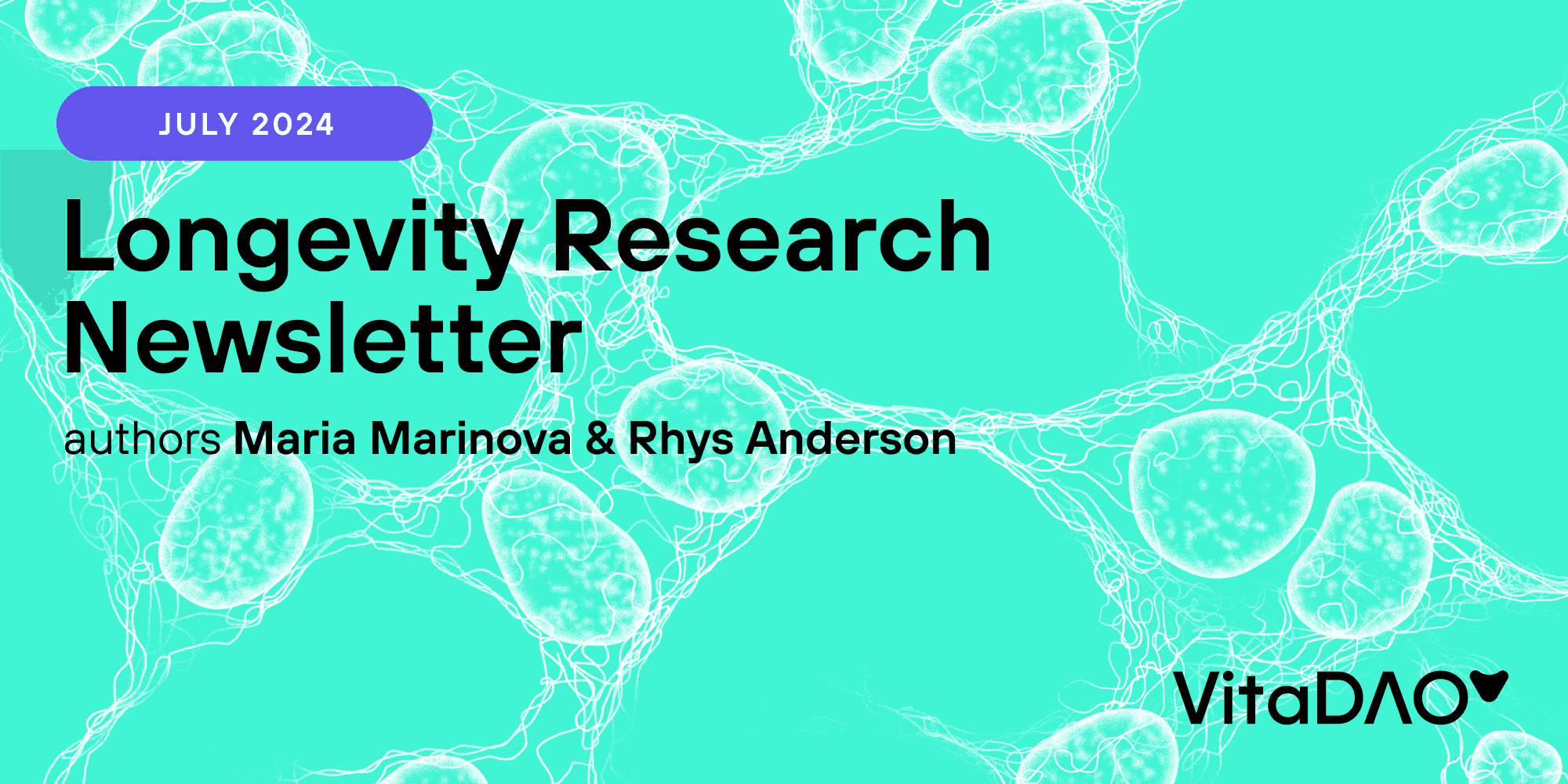 July 2024 Longevity Research Newsletter