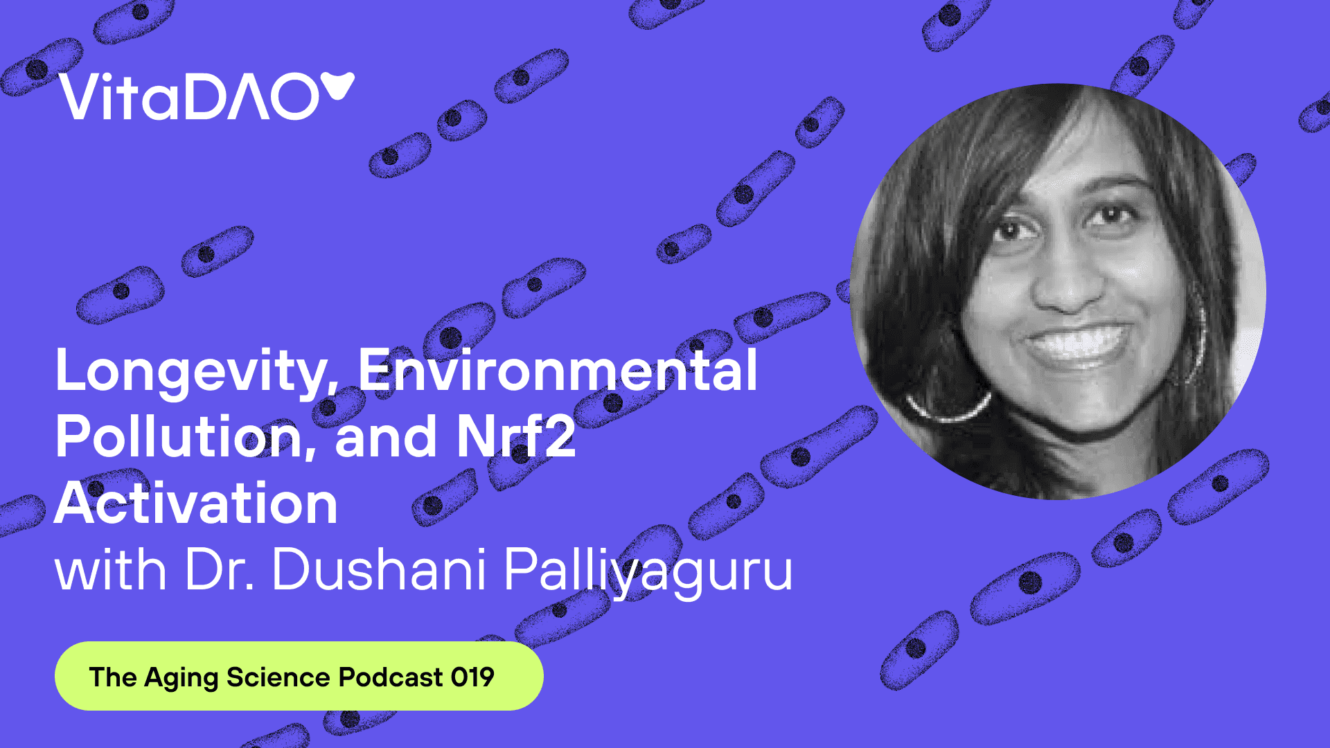 Longevity, Environmental Pollution, and Nrf2 Activation with Dr. Dushani Palliyaguru - The VitaDAO Aging Science Podcast