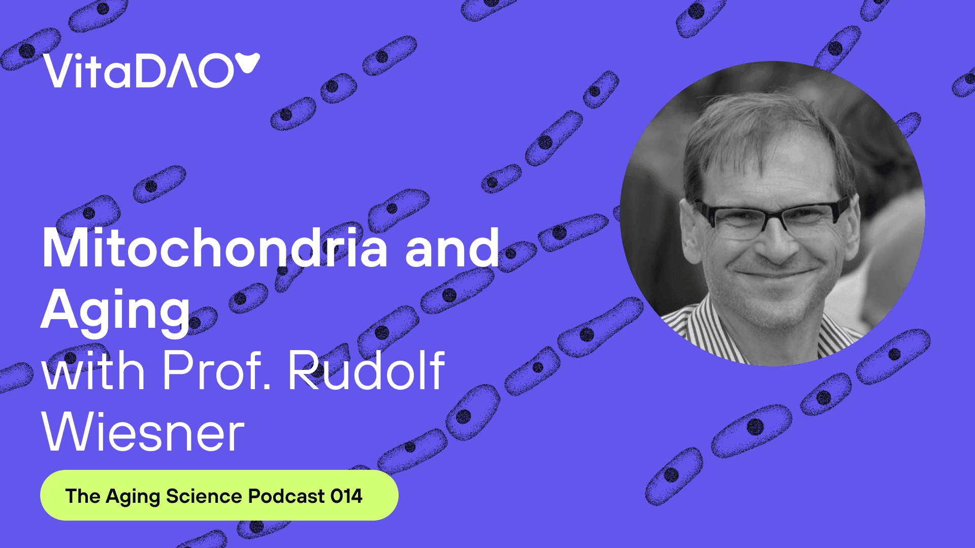 Mitochondria and Aging with Prof. Rudolf Wiesner - VitaDAO Aging Science Podcast
