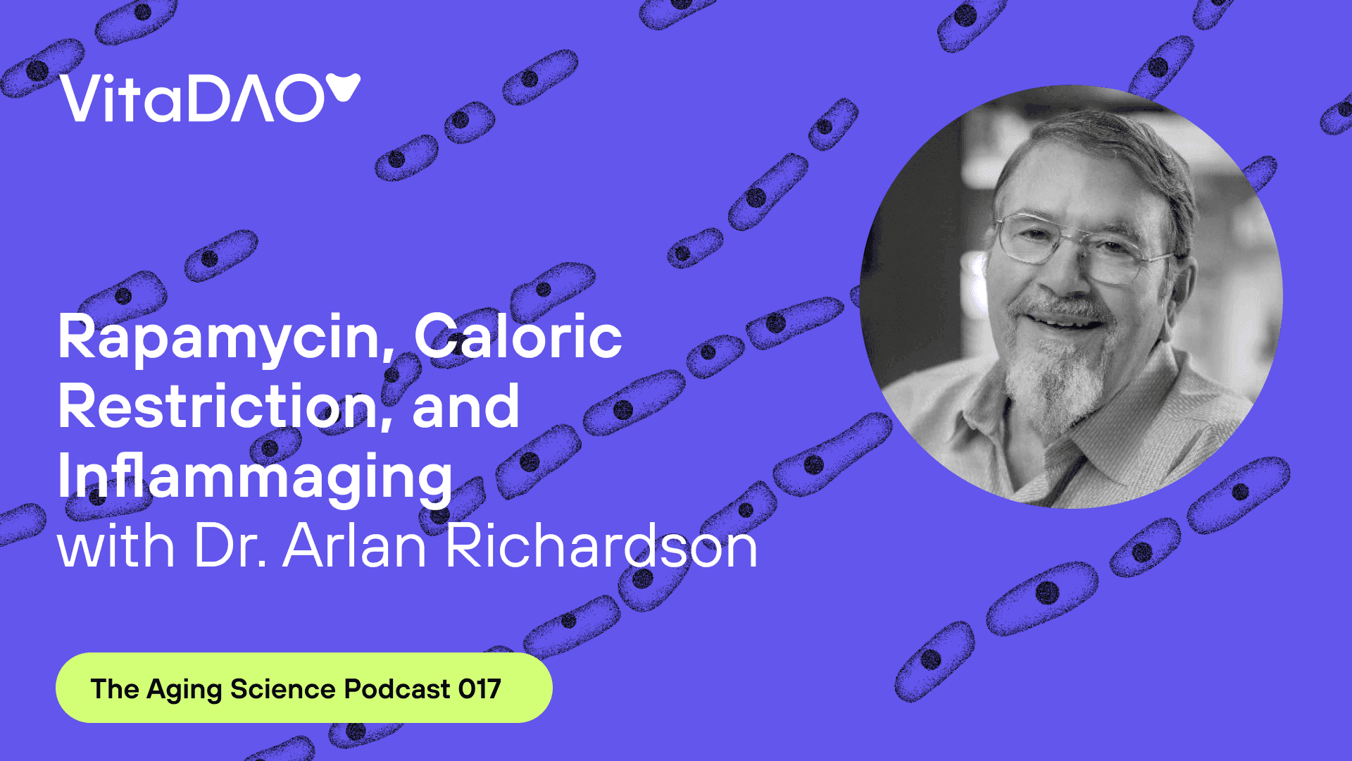 Rapamycin, Caloric Restriction, and Inflammaging with Dr. Arlan Richardson - The VitaDAO Aging Science Podcast