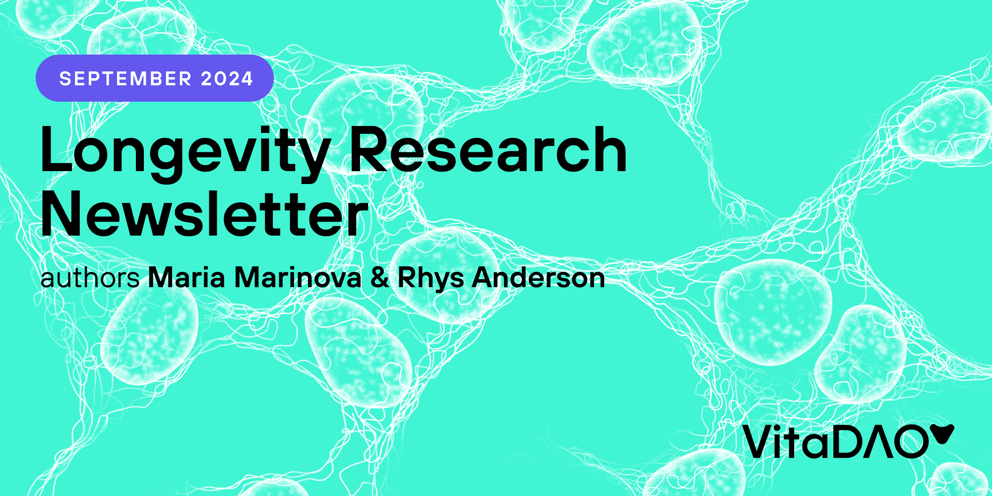 September 2024 Longevity Research Newsletter
