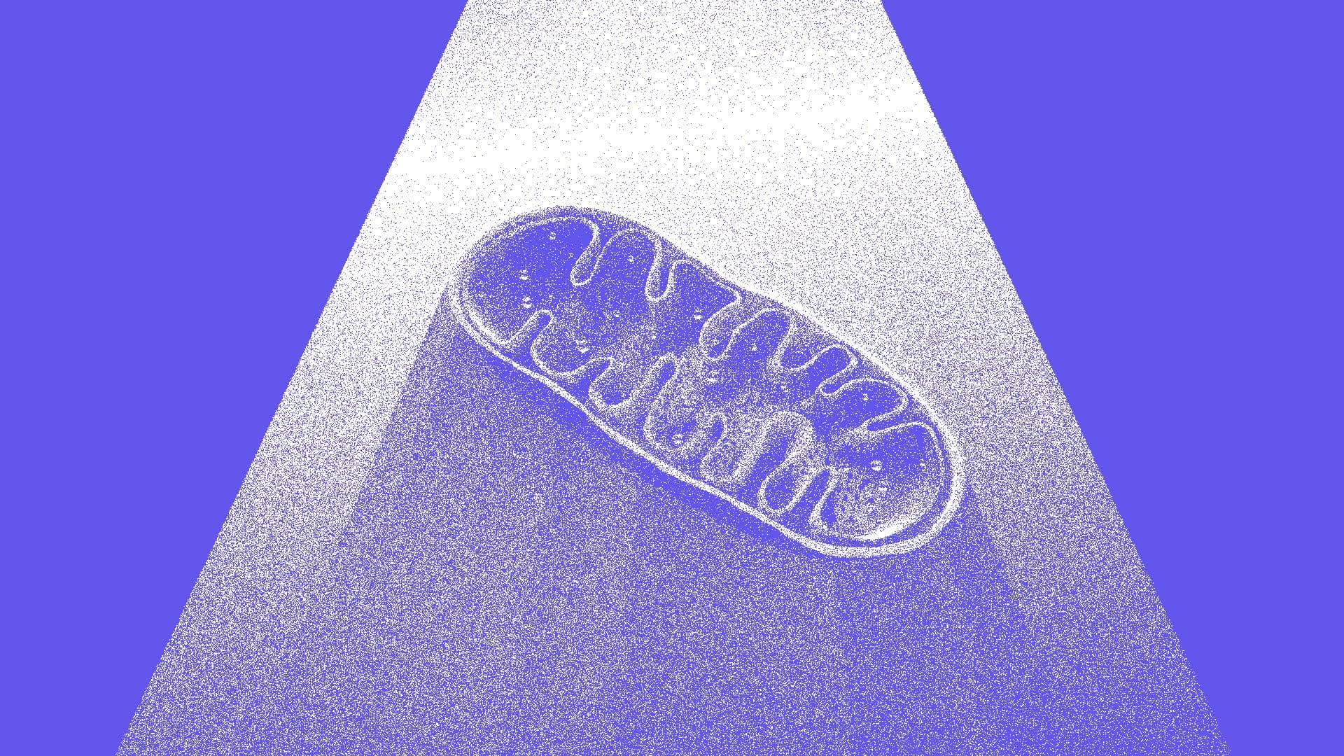Shining a Light on Optogenetics: An Innovative Approach to Combat Aging
