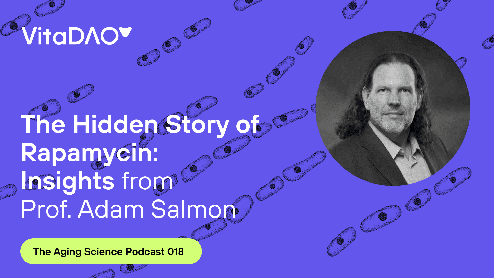 The Hidden Story of Rapamycin: Insights from Prof. Adam Salmon — The VitaDAO Aging Science Podcast