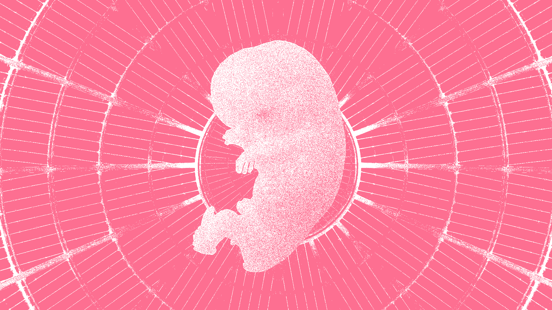 The Key to Longevity Could Be Hidden in Embryos