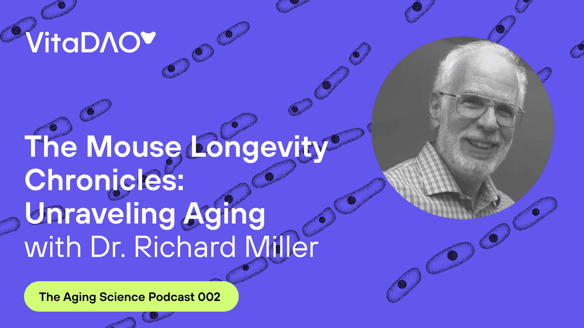 The Mouse Longevity Chronicles: Unraveling Aging with Dr. Richard Miller during The Aging Science podcast by VitaDAO