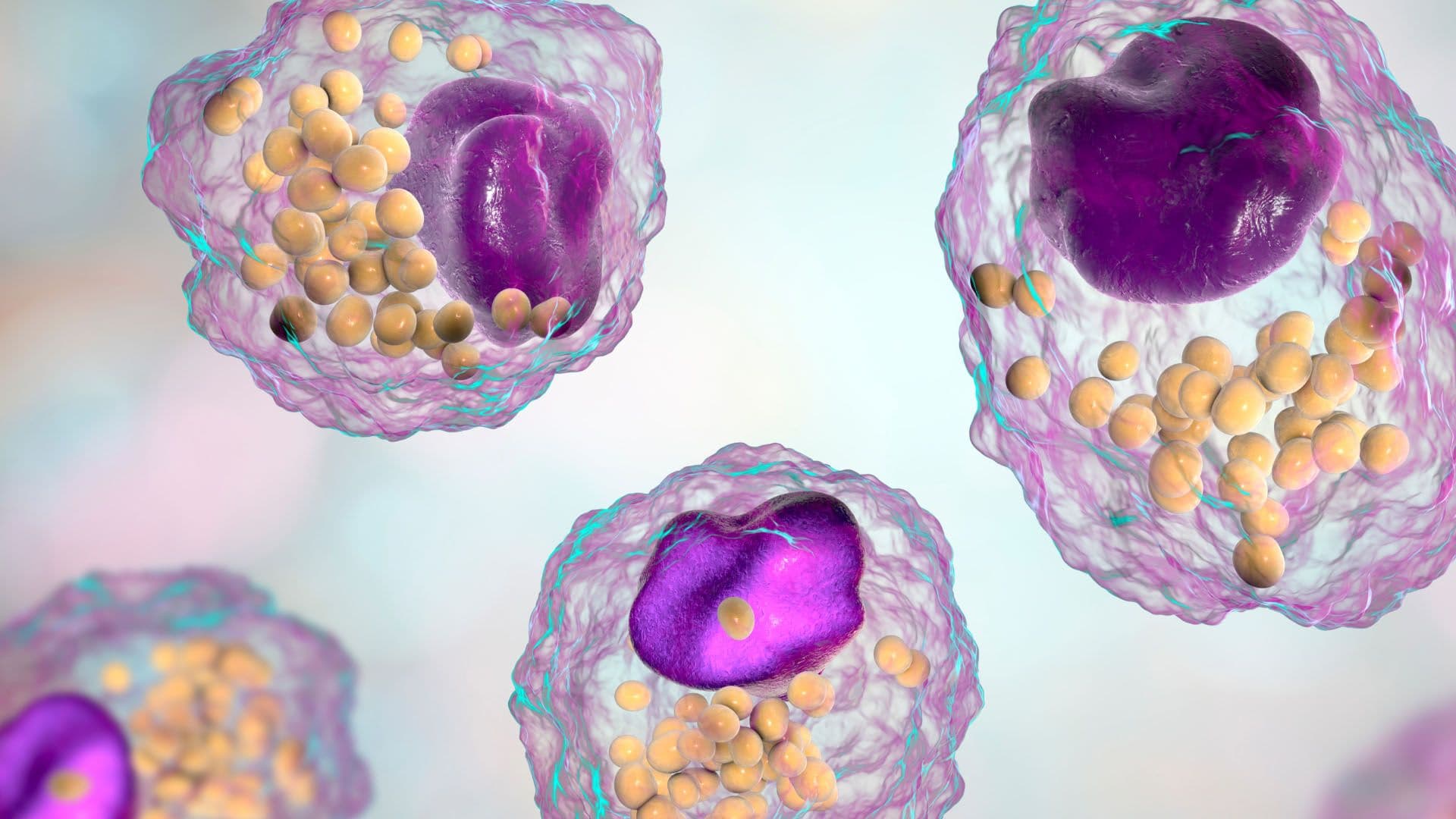 Cyclarity - Novel Cyclodextrin Molecules for Multiple Aging-related Diseases