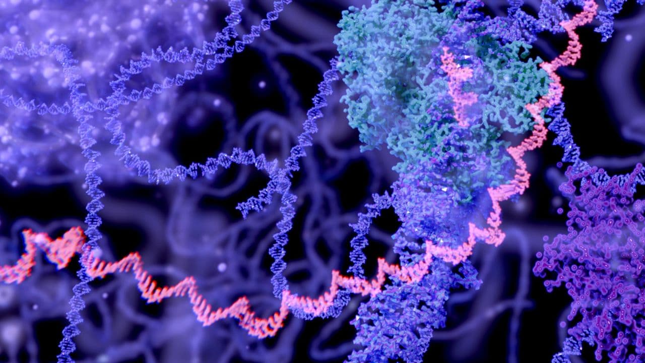 ExcepGen Inc - RNA therapeutics for longevity