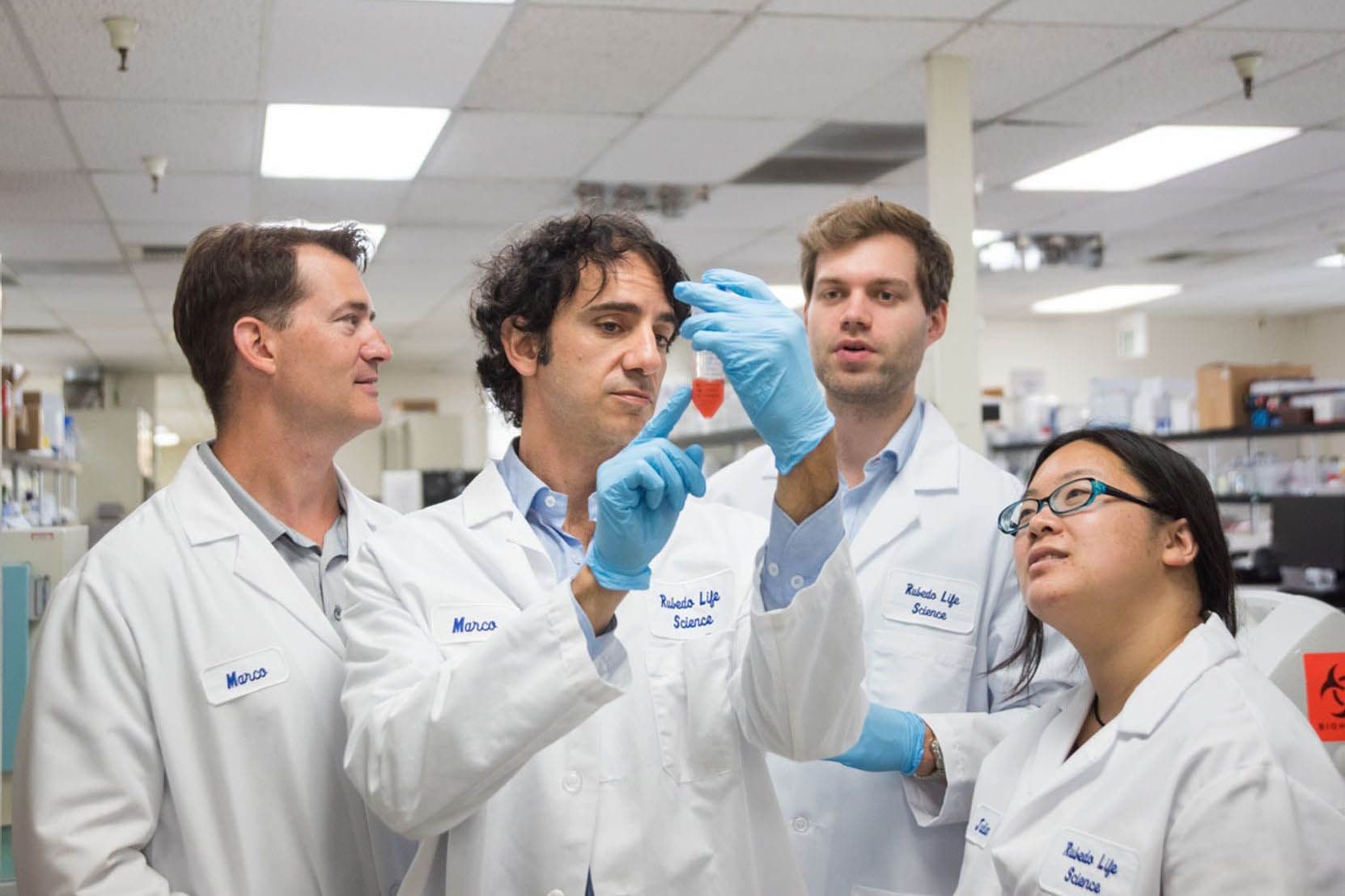 Rubedo.Life - Prodrug Discovery Platform