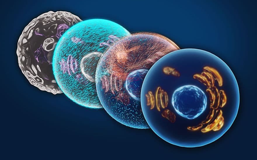 Turn Biotechnologies - mRNA Therapeutics with Lipid Nanoparticle Delivery