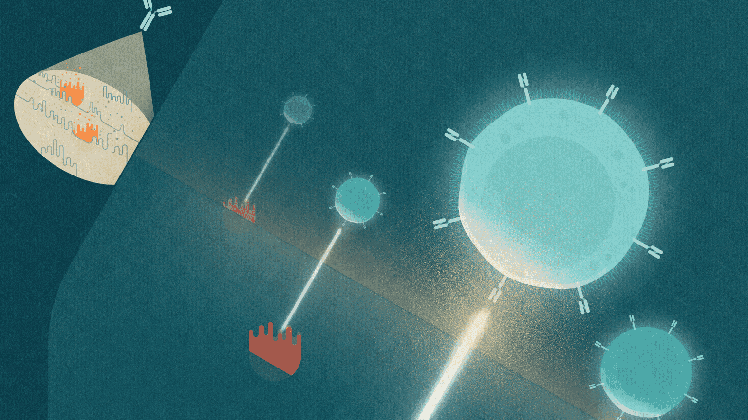 An image uploaded to Strapi called project_apoptosens-senolytic-car-nk-cells_hero