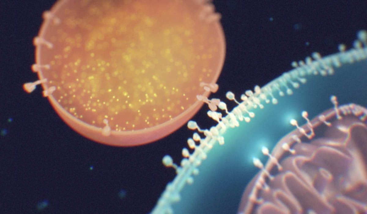 An image uploaded to Strapi called project_evandro-fang_hero